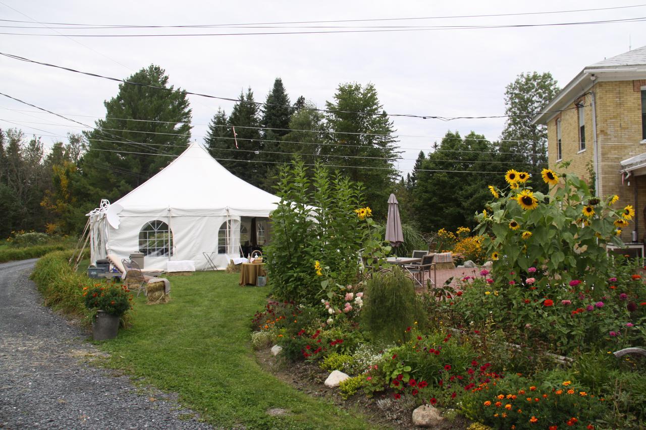 Auberge Taylor Manor Saint-Georges Esterno foto