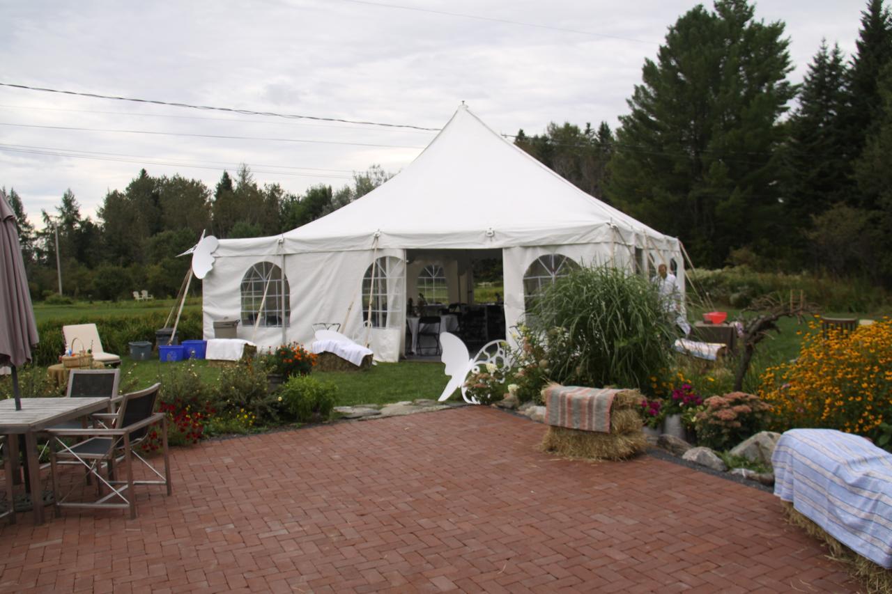 Auberge Taylor Manor Saint-Georges Esterno foto