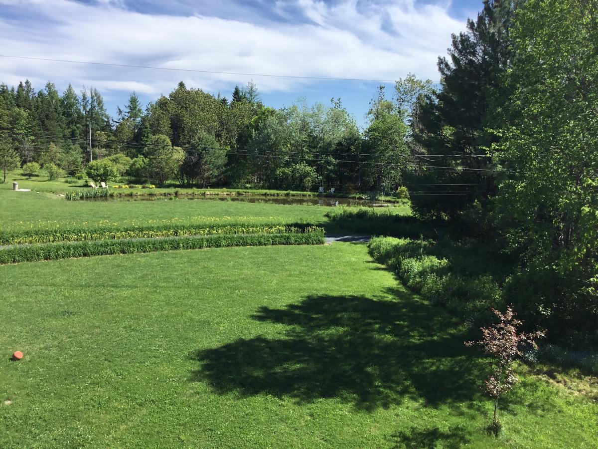 Auberge Taylor Manor Saint-Georges Esterno foto